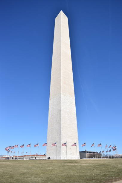 istock Iconic Washington Monument in DC surrounded by numerous American flags 2155885204