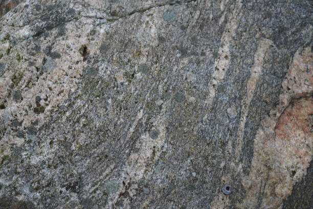 Big rock surrounded by green rocks with a black skateboard on top