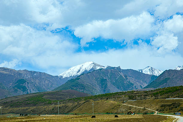 Snow covered Mount Erciyes in Kayseri, Turkey. Taken ia medium format camera.