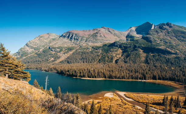 istock Lake surrounded by grass, admiring mountain view 2155886506