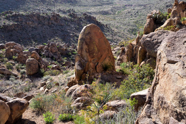 istock Hillside with soil and vegetation in sunlight, Big Bend National Park 2155887324