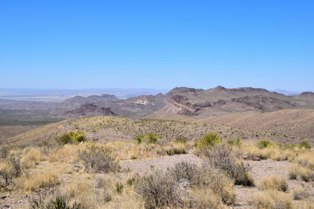 istock Hillside with soil and vegetation in sunlight, Big Bend National Park 2155887342