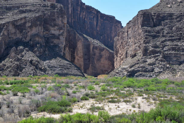 istock Hillside with soil and vegetation in sunlight, Big Bend National Park 2155887364