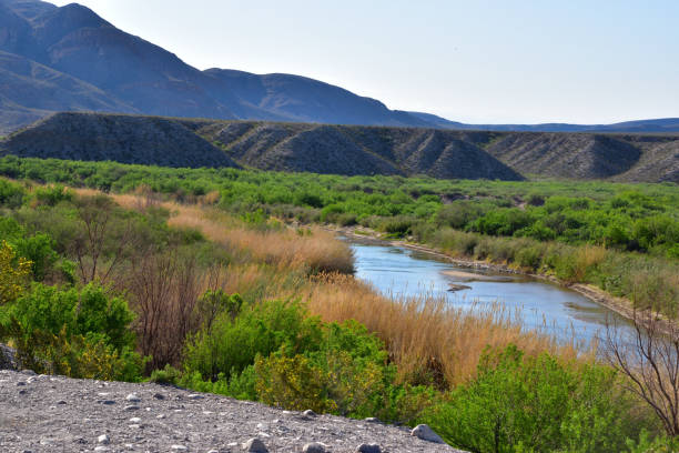 istock Hillside with soil and vegetation in sunlight, Big Bend National Park 2155887383