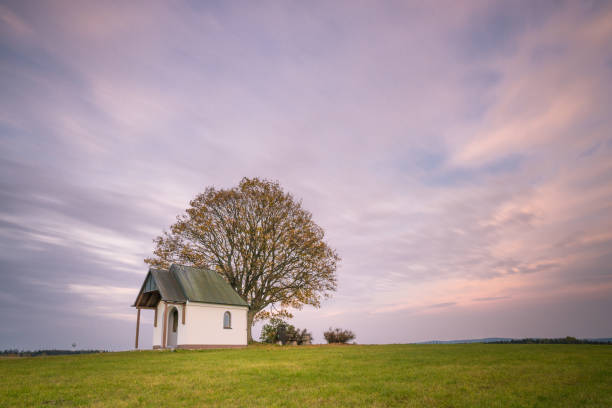 A single tree in a wide field with a chapel at sunset