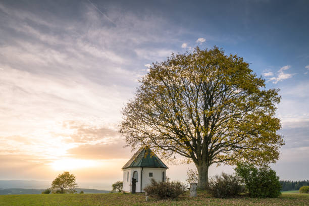 istock Scenic view of a chapel under a tree at sunset 2155887420
