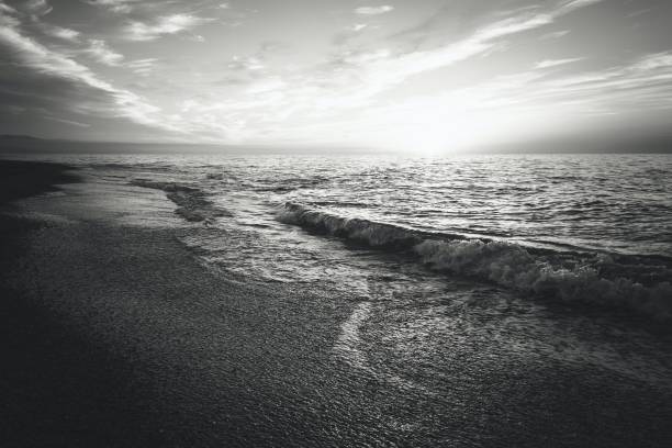 istock Sun shining over a sandy beach, in grayscale 2155887672