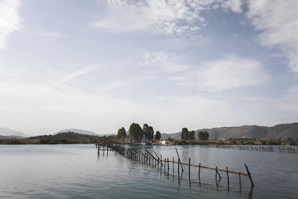 istock Scenic view of sticks extend across river under blue cloudy sky 2155887700