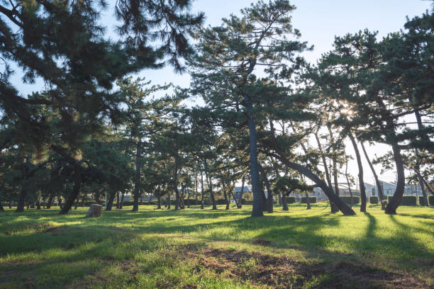istock Scenery of Hamadera Park 2155887917