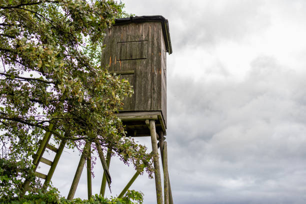 istock Wooden tower on mountain with trees under rain clouds 2155889537