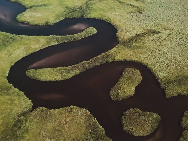 istock River and the jungle aerial shot 2155890931