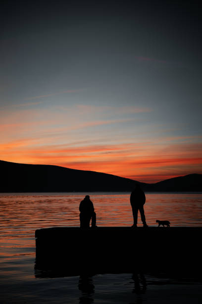 The two men with a cat on the pier at sunset