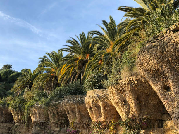 The lush palm trees and stone structures in Park Guell. Barcelona, Spain