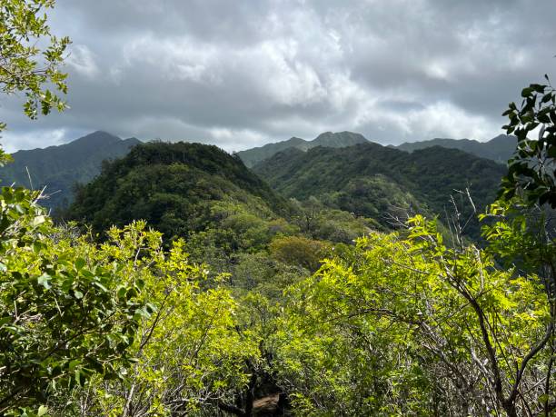 istock Lush green forest nestled among mountains 2155891159