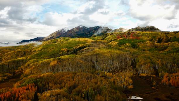 istock Vast landscape with rolling hills and trees 2155891160