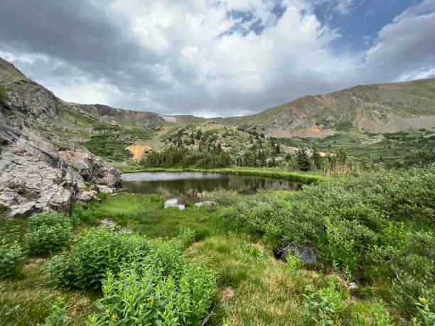 istock Grassy shore and trees by the pond 2155891183