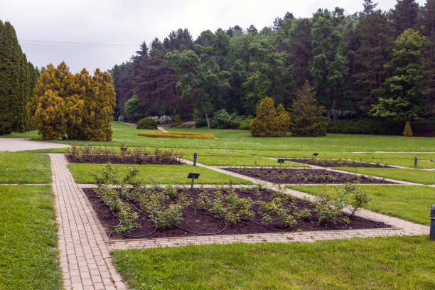 istock A beautiful landscaped park with benches, walking paths and green lawns. 2155891255