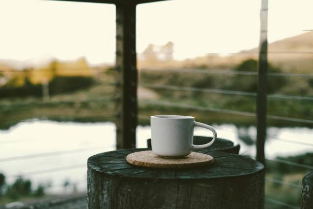 A cup placed on a wooden log against a serene lake