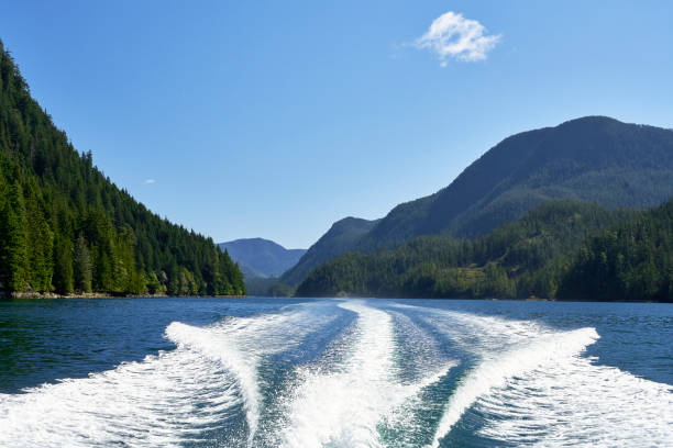 istock A fast moving boat's wake is creating a path to the distant forest covered mountains. 2155892456