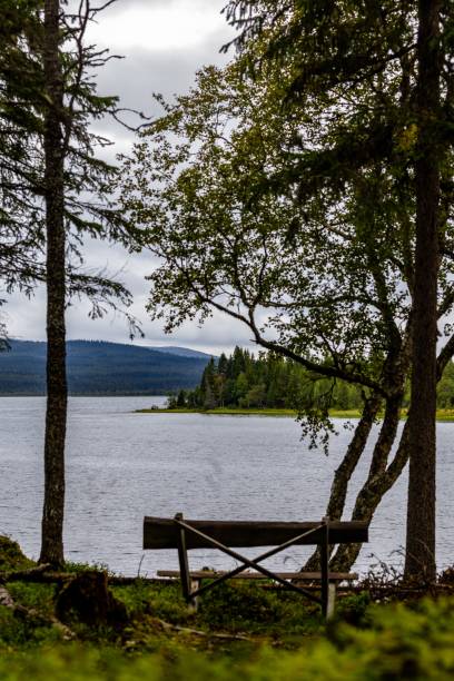 istock a bench is on the shore near trees and water and clouds 2155893607