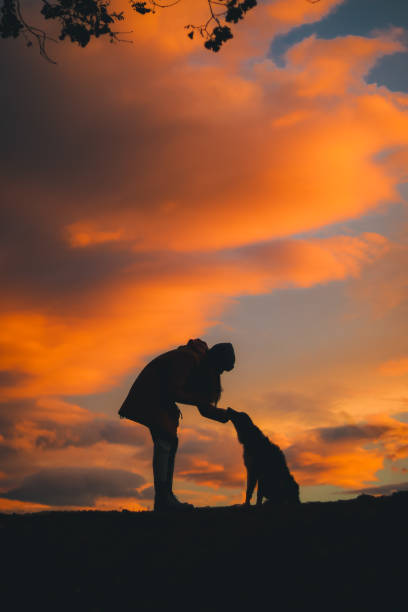 istock Friendship between human and dog 2155893997