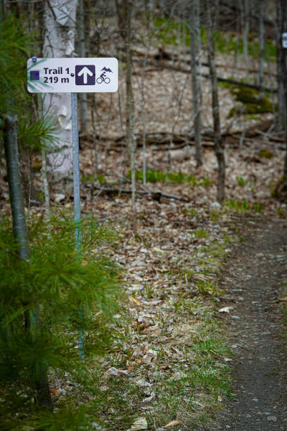 istock Sign on a mountaintop in the forest, indicating directions 2155894196