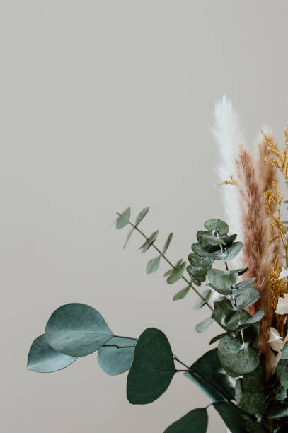 istock Dried floral bouquet with eucalyptus in a ceramic vase 2155894980