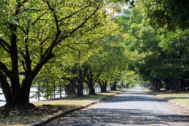 istock Scenery of Hamadera Park 2155895127
