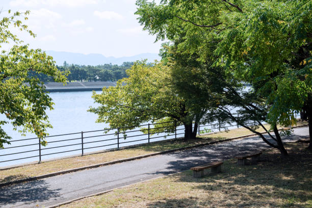 istock Scenery of Hamadera Park 2155895227
