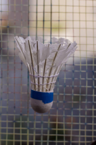 Multiple white badminton shuttles hanging on a wire mesh window