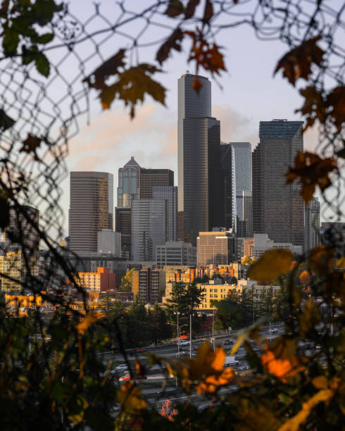istock City skyline through chain link fence with foliage 2155897033