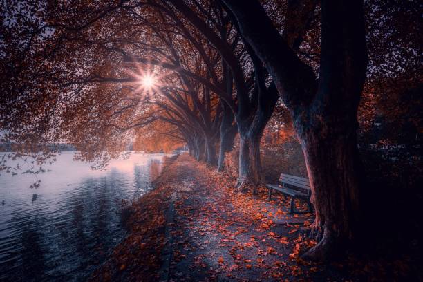 istock a bench by the water and a bench in the distance 2155897930