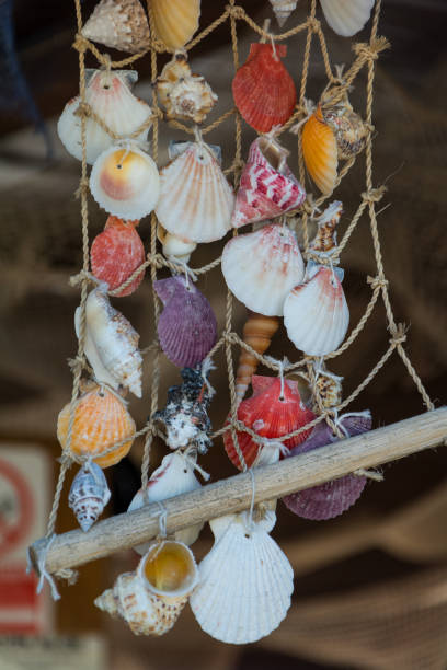 istock Vertical of seashells displayed on a wooden pole 2155898734