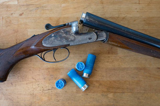 Detail of a nice old open parallel shotgun with some 12 gauge cartridges on a wooden table