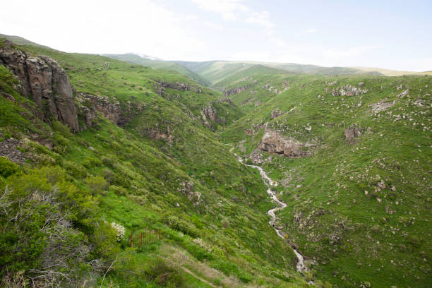 istock Mountain stream meandering through a rocky gorge and lush green meadows 2155902332