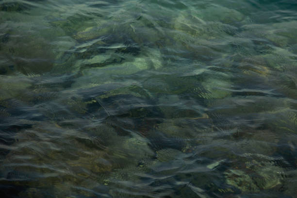 A serene view of calm ocean waves on a sunny day