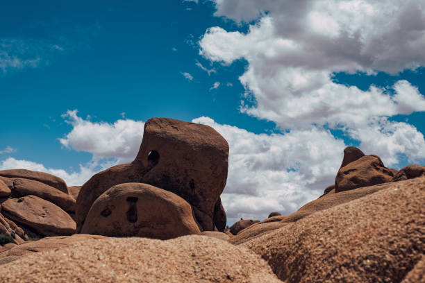 Unique and weathered rock formations in Joshua Tree National Park, California. The striking shapes of the rocks, set against a backdrop of a clear blue sky with scattered clouds, highlight the natural beauty and geological wonder of this iconic park. Ideal for projects related to nature, geology, travel, and outdoor adventures.