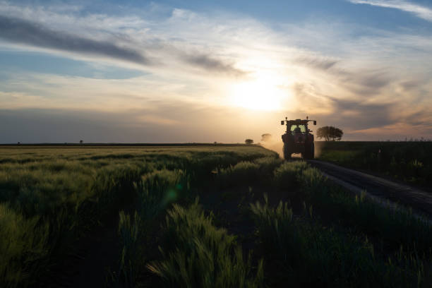 Tractor on a country road at sunset