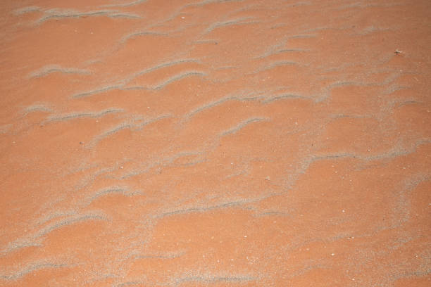 A Closeup shot of desert dune sand.
