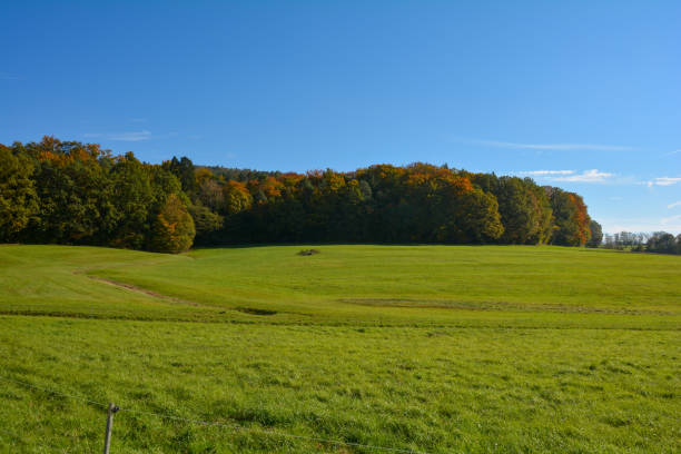 Image of cultivated land in the mountains of eastern Serbia