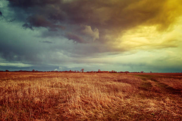 istock The image shows a vast field with dry grass under a dramatic sky filled with dark clouds, indicating an approaching storm. 2155909207