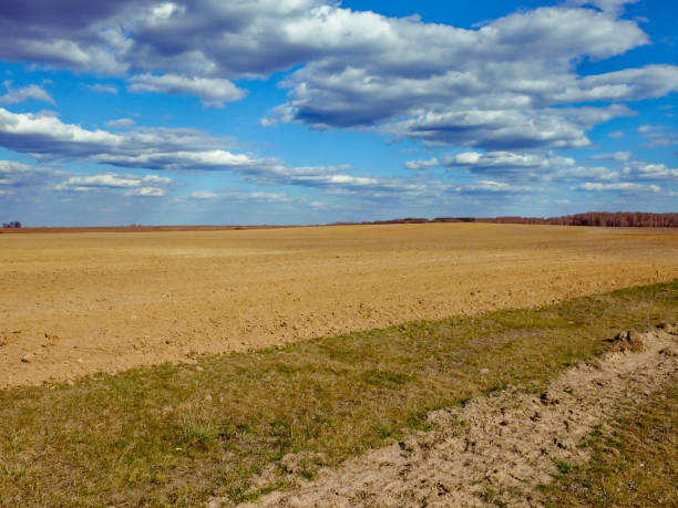 istock Open landscape, clear skies, and a barren field. 2155909284