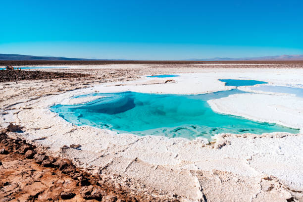 istock Baltinache lagoon in Atacama desert 2155909423