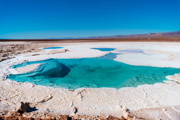 istock Baltinache lagoon in Atacama desert 2155909455