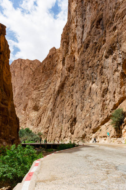istock Todra Gorge canyon, Morocco 2155912109