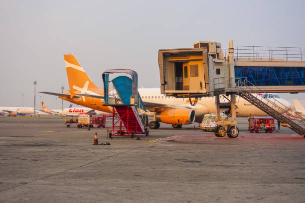 Large white aircraft parked at the airport, view of the tail