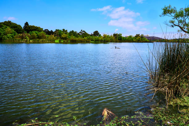 Lake Machado at Ken Malloy Park in Los Angeles County