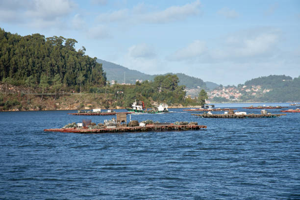 The coast of Galicia, Spain