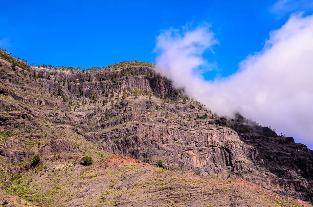 istock A mountain with a cloudy sky and a few trees 2155920951