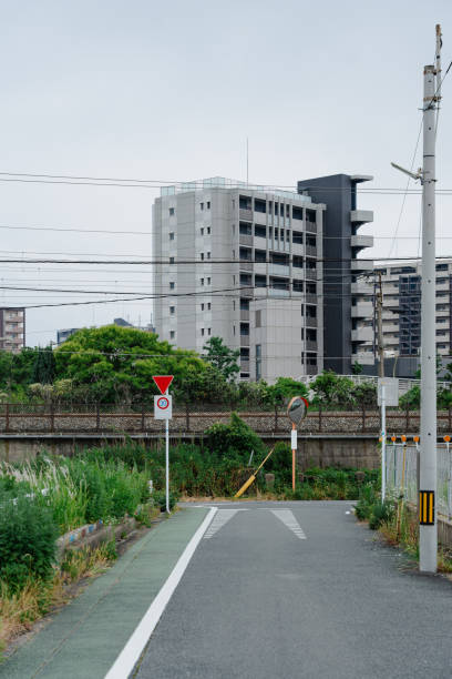 Modern urban street with greenery and buildings